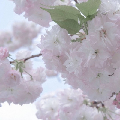 南湖FurryQQ群介绍